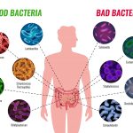 Clostridium difficile