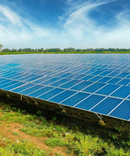Celule IBC: Panouri fotovoltaice cu grilaj frontal fără cadru